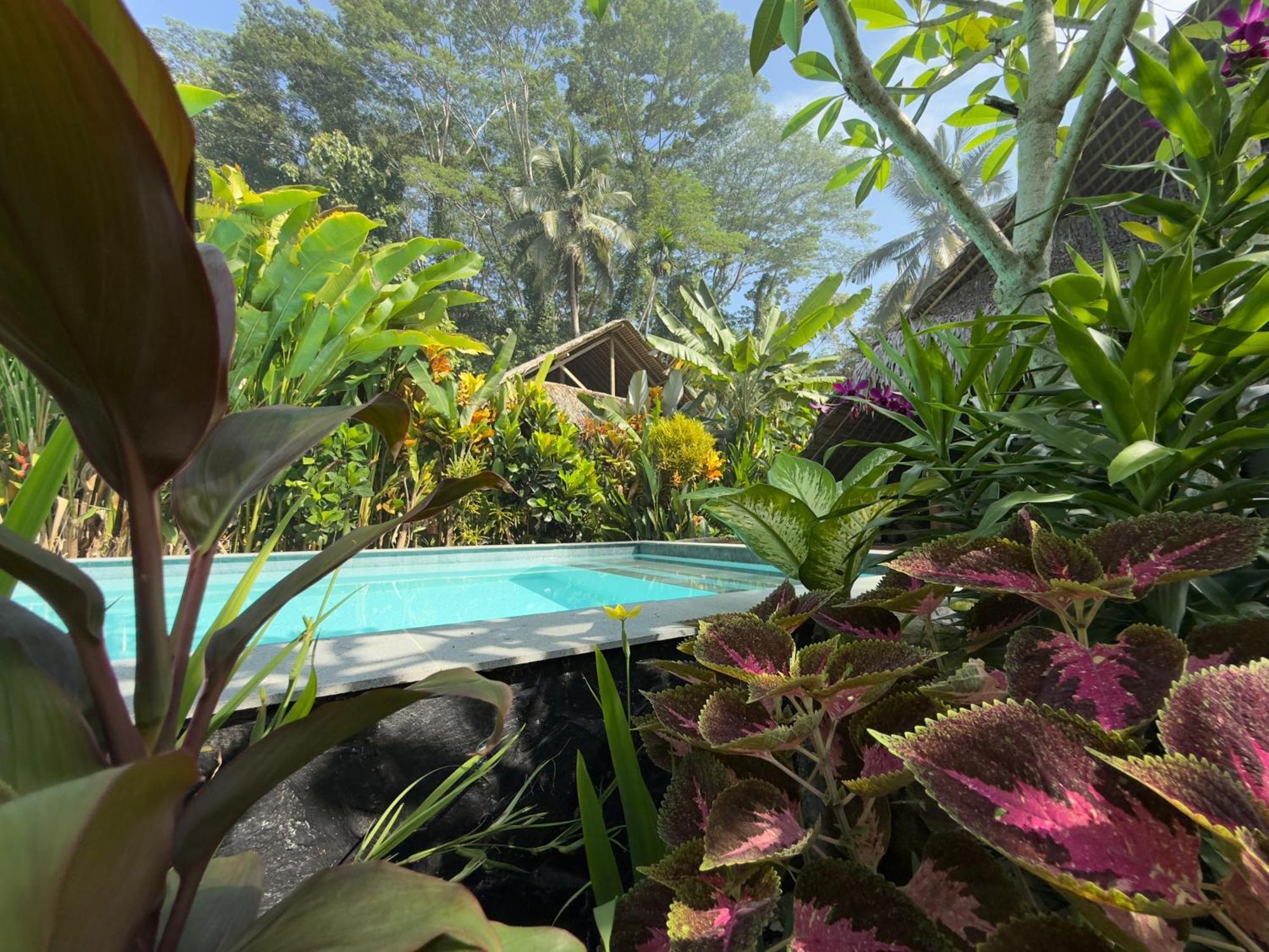 Rnv Eco Resort Bungalows Batukaras 외부 사진