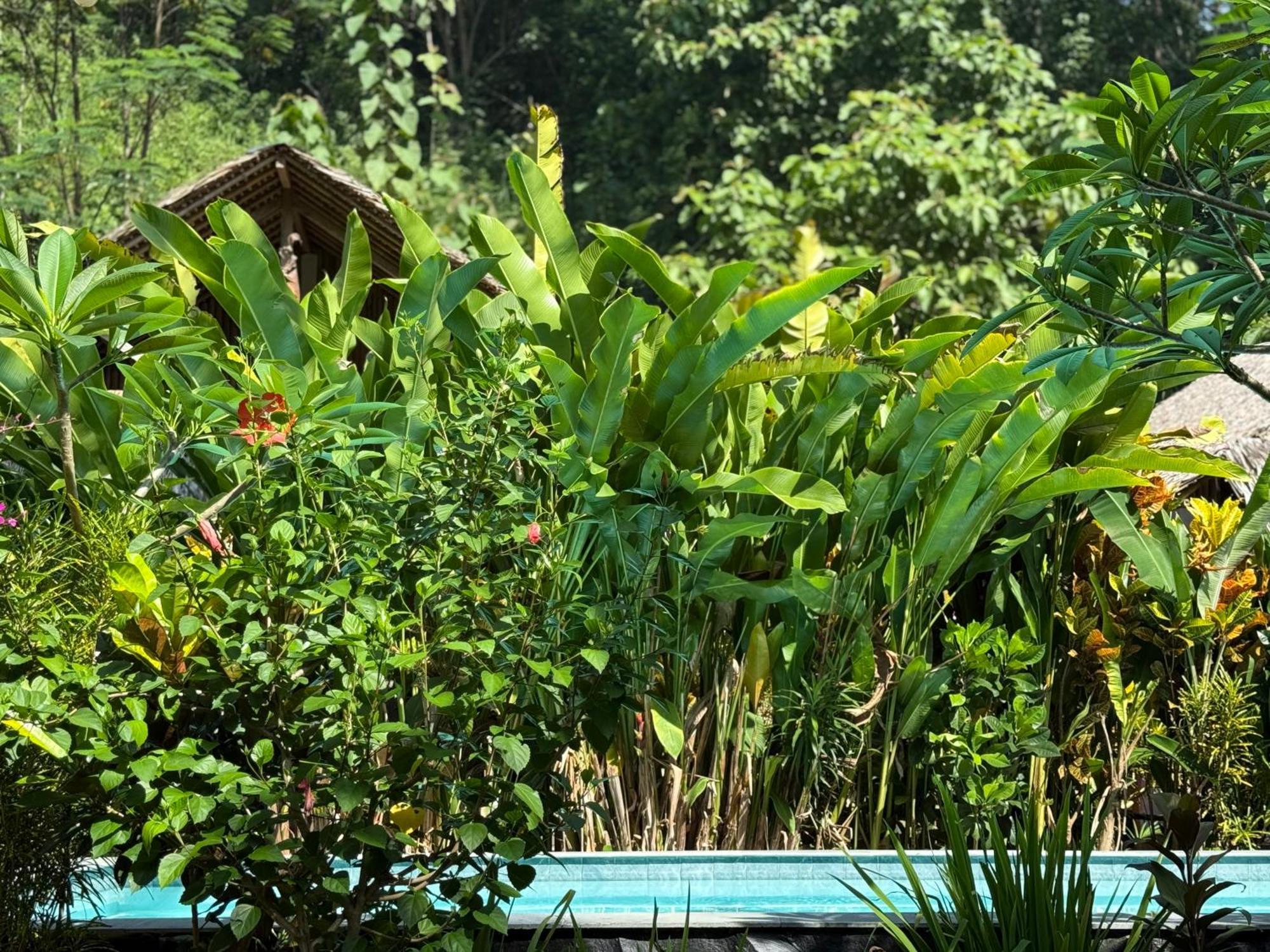 Rnv Eco Resort Bungalows Batukaras 외부 사진