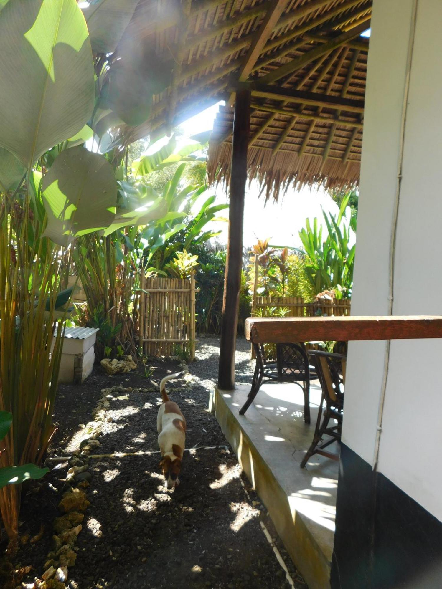 Rnv Eco Resort Bungalows Batukaras 외부 사진